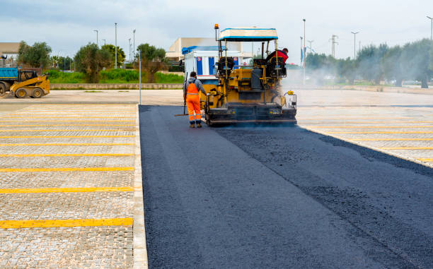 Best Residential Paver Driveway  in Mesilla, NM