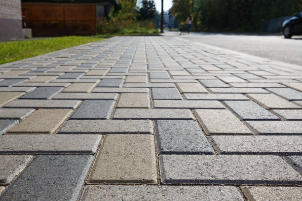 Best Custom Driveway Pavers  in Mesilla, NM