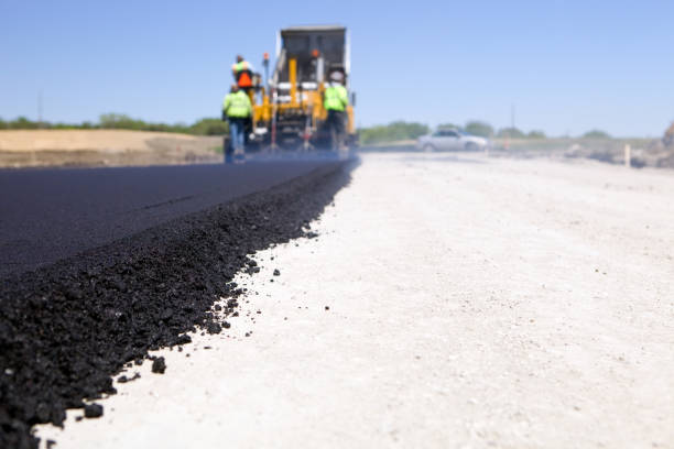 Best Local Driveway Pavers  in Mesilla, NM