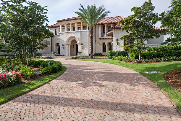 Best Residential Driveway Paver Services  in Mesilla, NM