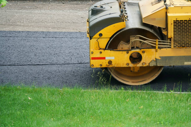 Best Driveway Repair Near Me  in Mesilla, NM