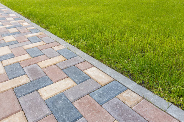 Best Driveway Pavers for Homes  in Mesilla, NM