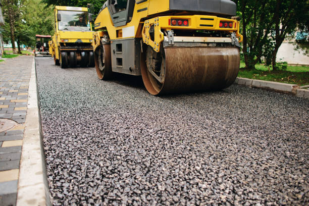 Best Residential Driveway Paver Services  in Mesilla, NM